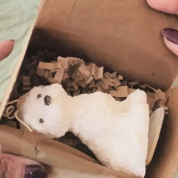 Adorable Gift Boxes