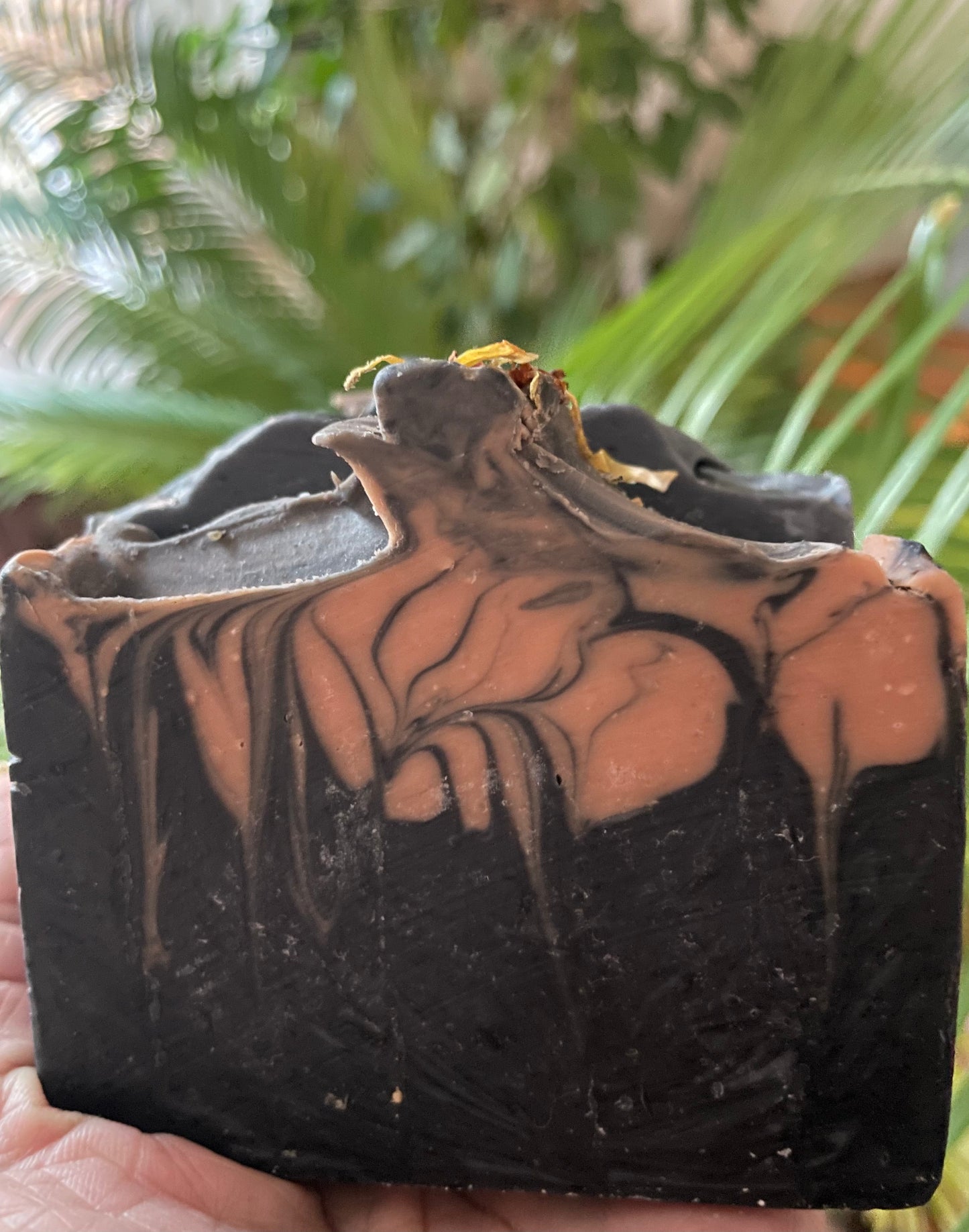 Black Rose with Irish Sea Moss